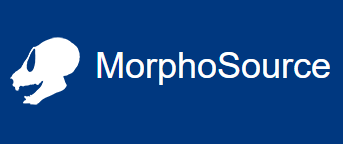 morphosource