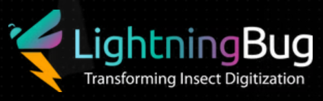 lightingbug