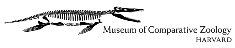 museum-of-comparative-zoology-harvard