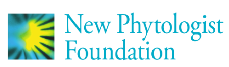 new-phytologist-foundation